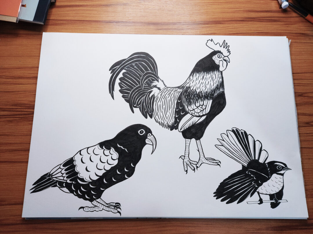 hand drawing, scanning, digital editing, vectorisation, simplification for etching, penny royal design, rooster, fantail, kea, Haast’s eagle, black pen on paper, digital vector illustration