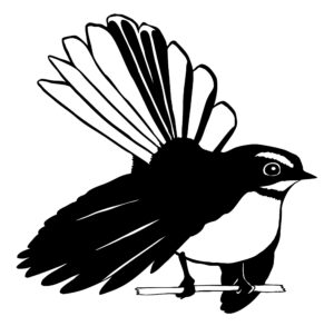 hand drawing, scanning, digital editing, vectorisation, simplification for etching, penny royal design, rooster, fantail, kea, Haast’s eagle, black pen on paper, digital vector illustration