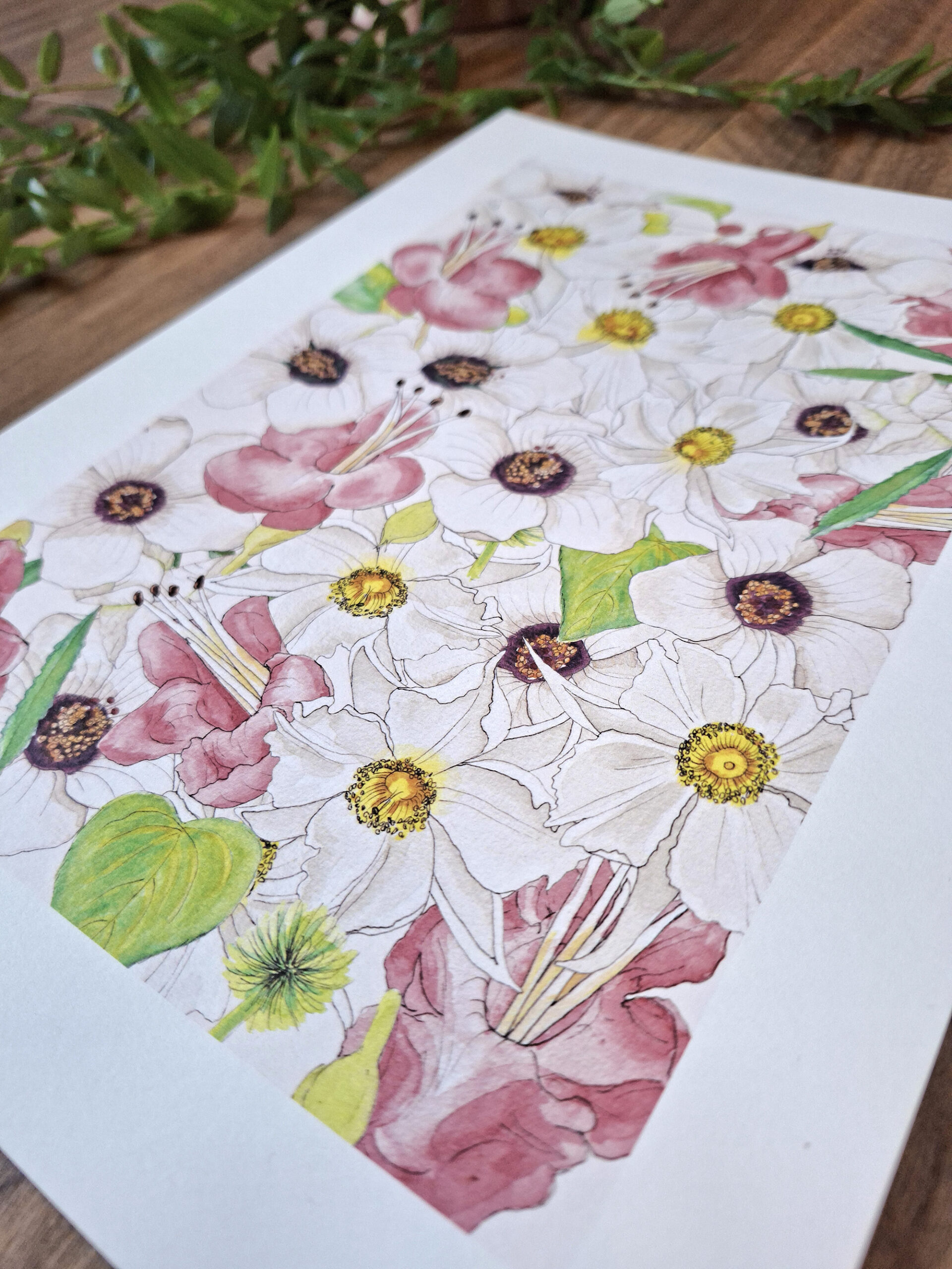 Uncommon NZ Native Flowers Art, Penny royal, NZ artist, nz native flowers, art prints, penny royal design,