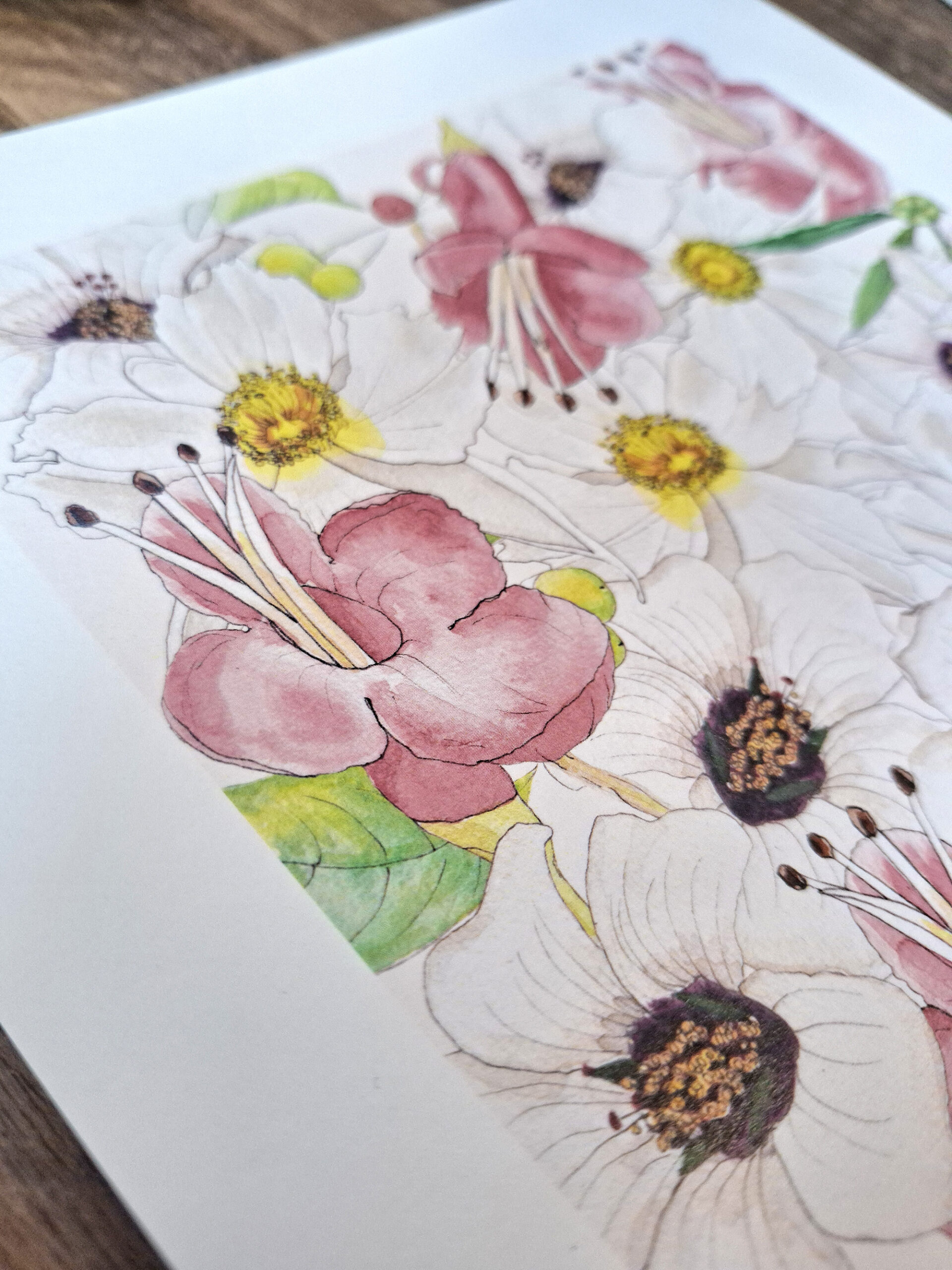 Uncommon NZ Native Flowers Art, Penny royal, NZ artist, nz native flowers, art prints, penny royal design,