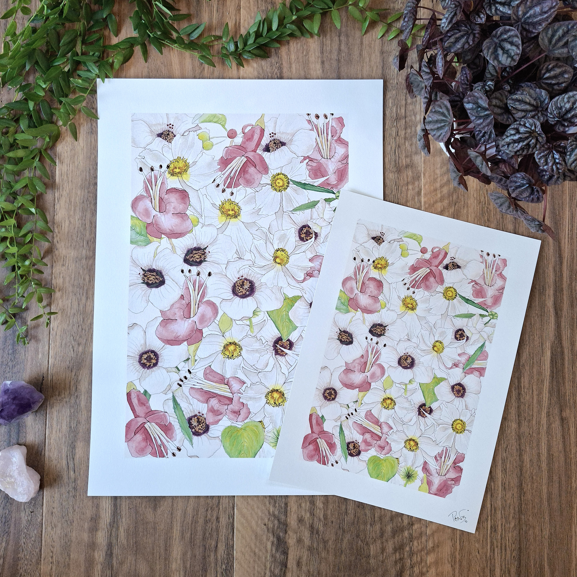Uncommon NZ Native Flowers Art, Penny royal, NZ artist, nz native flowers, art prints, penny royal design,