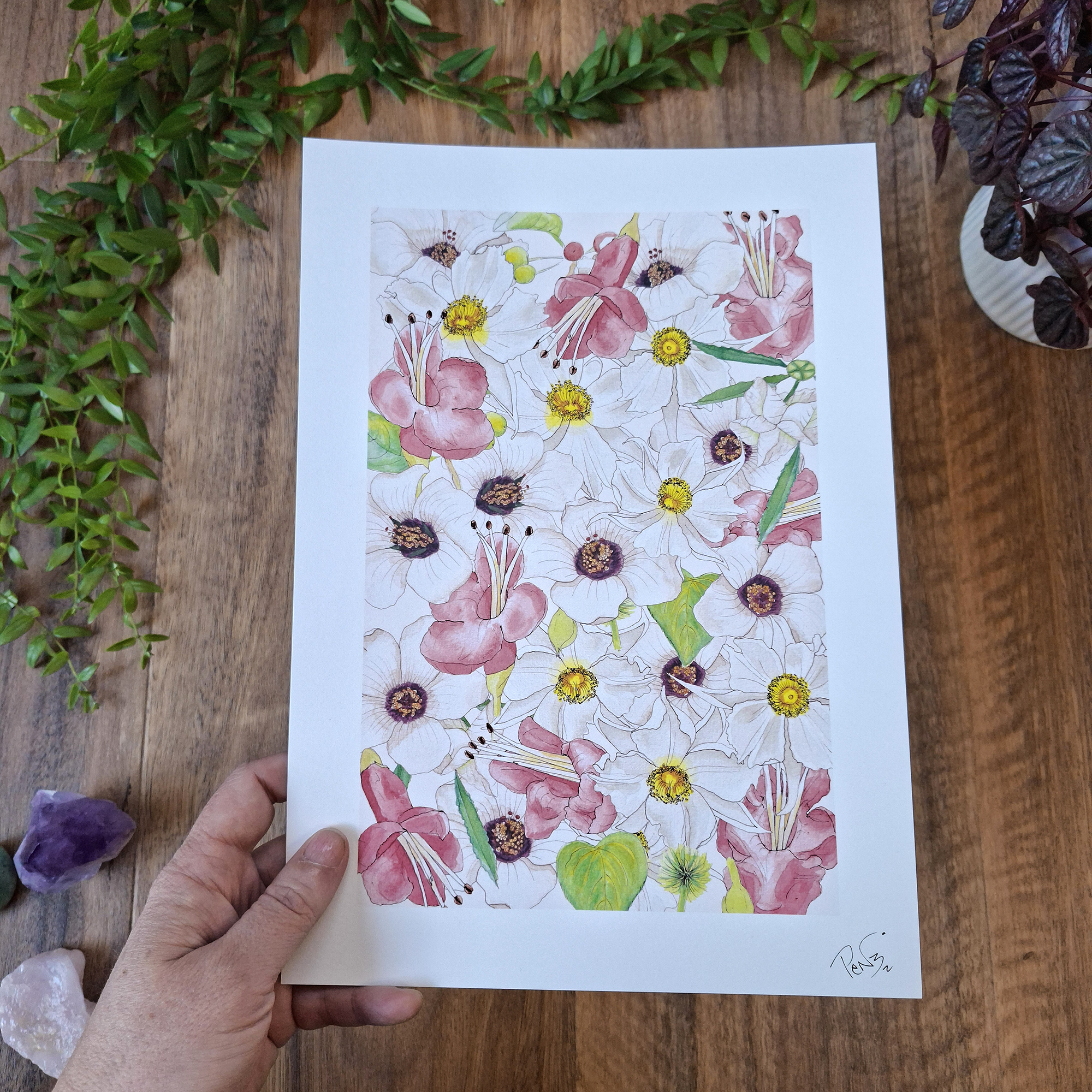 Uncommon NZ Native Flowers Art, Penny royal, NZ artist, nz native flowers, art prints, penny royal design,