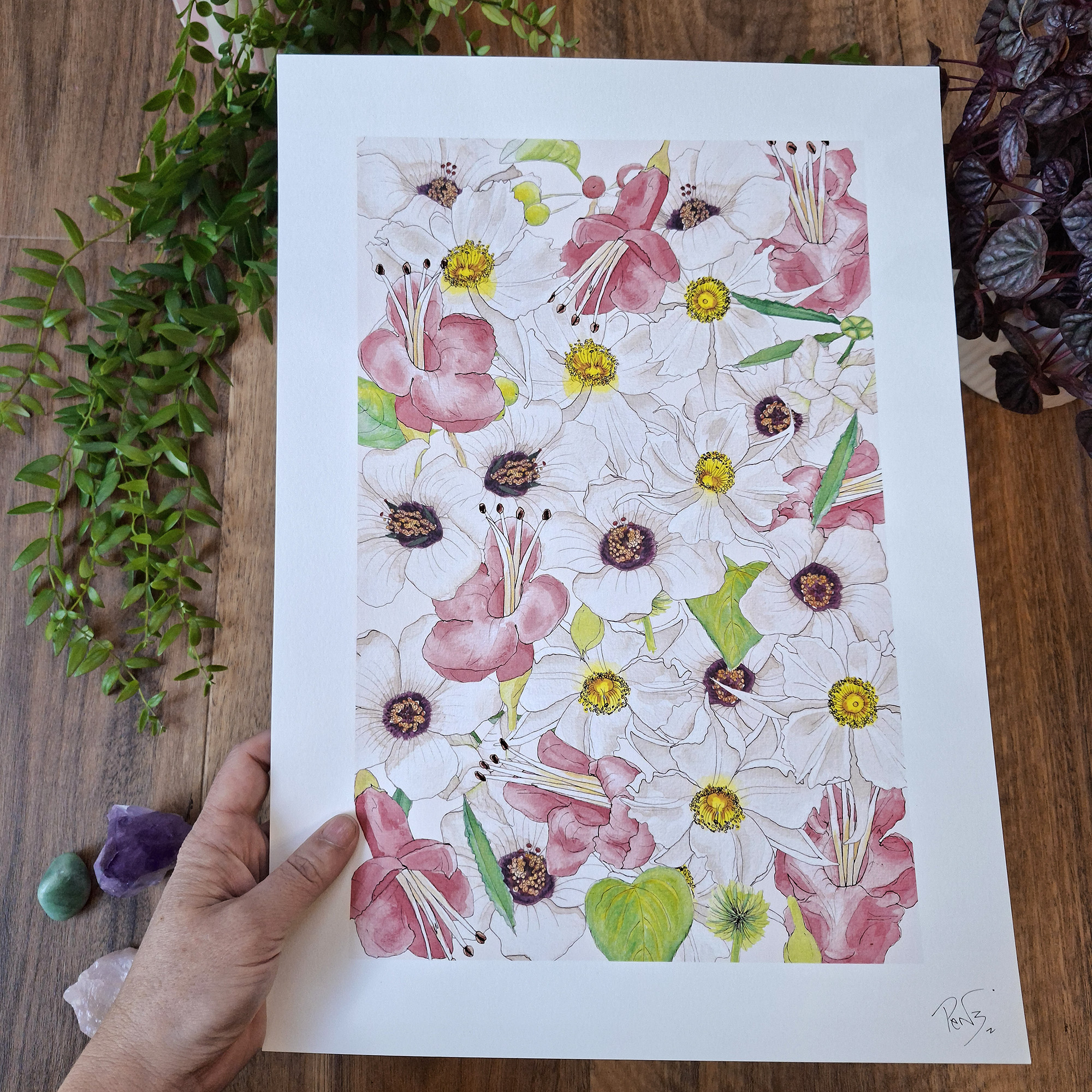 Uncommon NZ Native Flowers Art, Penny royal, NZ artist, nz native flowers, art prints, penny royal design,