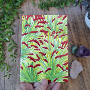 Poor Knights Lily NZ Native Botanical Greeting Card, Penny Royal Design, greeting cards, christmas card, xmas, nz artist, merry christmas, nz native flowers, raupo taranga
