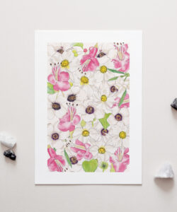 Uncommon NZ Native Flowers Art, Penny royal, NZ artist, nz native flowers, art prints, penny royal design,