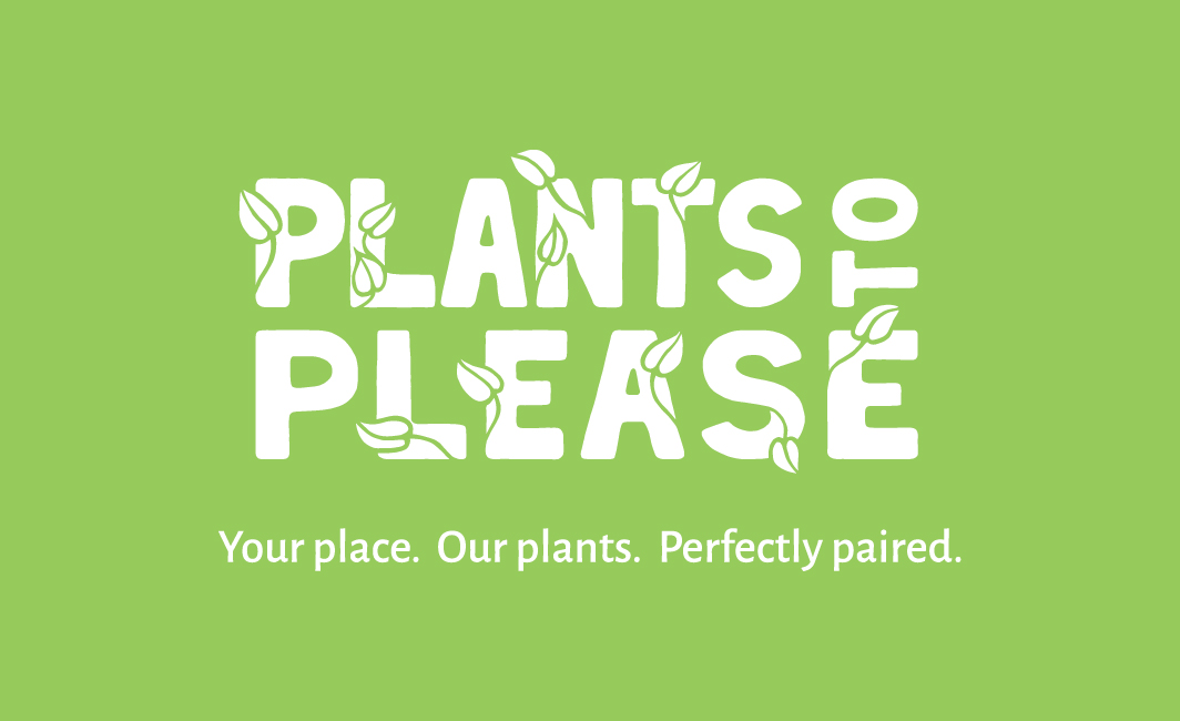 logo design, graphic design, plants to please, green, penny royal design, brand design,